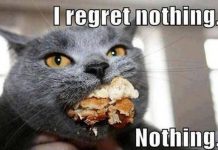 Categorii de greutate în MMA Categorii de greutate in MMA