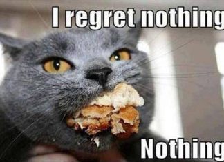 Categorii de greutate în MMA Categorii de greutate in MMA