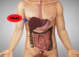 De ce nu poate încasa corpul uman o lovitură la ficat? (VIDEO) De ce nu poate încasa corpul uman o lovitură la ficat? (VIDEO)