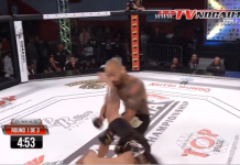 VIDEO. Capoeira KO în doar 7 secunde! VIDEO. Capoeira KO în doar 7 secunde!
