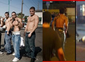 15 momente în care luptători de MMA s-au luat la bătaie în afara octogonului (VIDEO) 15 momente în care luptători de MMA s-au luat la bătaie în afara octogonului (VIDEO)