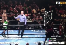 Meci de box terminat în 0 secunde! Vezi ce s-a întâmplat în ring! Meci de box terminat în 0 secunde! Vezi ce s-a întâmplat în ring!