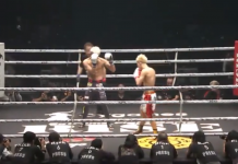 VIDEO. Viitorul adversar al lui Floyd Mayweather, Tenshin Nasukawa a reușit un TKO brutal! VIDEO. Viitorul adversar al lui Floyd Mayweather, Tenshin Nasukawa a reușit un TKO brutal!