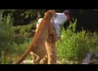 Un alergător a reușit să scape cu viață după ce a strangulat o pumă care l-a atacat (VIDEO) Un alergător a reușit să scape cu viață după ce a strangulat o pumă care l-a atacat (VIDEO)