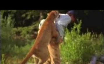 Un alergător a reușit să scape cu viață după ce a strangulat o pumă care l-a atacat (VIDEO) Un alergător a reușit să scape cu viață după ce a strangulat o pumă care l-a atacat (VIDEO)