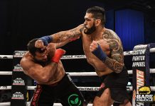 VIDEO. Gigantul ‘Bigfoot’ Silva a fost făcut KO la box fără mănuși! VIDEO. Gigantul 'Bigfoot' Silva a fost făcut KO la box fără mănuși!
