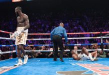 VIDEO. Urmărește-l pe Deontay Wilder cum își trimite adversarul în altă dimensiune! VIDEO. Urmărește-l pe Deontay Wilder cum își trimite adversarul în altă dimensiune!