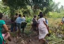 VIDEO. Cum se transformă o dispută pe teritoriu într-o bătaie de stradă VIDEO. Cum se transformă o dispută pe teritoriu într-o bătaie de stradă