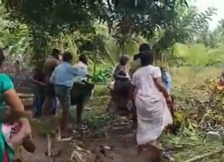 VIDEO. Cum se transformă o dispută pe teritoriu într-o bătaie de stradă VIDEO. Cum se transformă o dispută pe teritoriu într-o bătaie de stradă