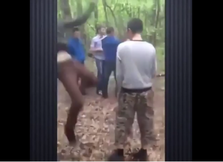 VIDEO. L-a făcut KO în pădure! Nu clipi că pierzi faza! VIDEO. L-a făcut KO în pădure! Nu clipi că pierzi faza!