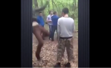 VIDEO. L-a făcut KO în pădure! Nu clipi că pierzi faza! VIDEO. L-a făcut KO în pădure! Nu clipi că pierzi faza!