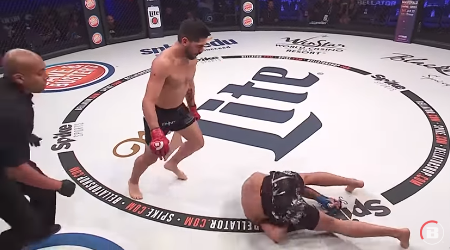 mmafight
