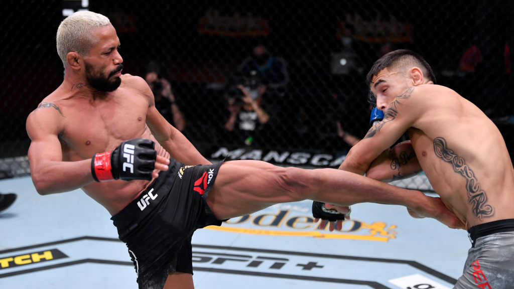 mmafight