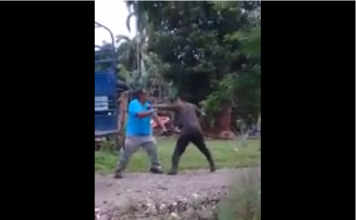 VIDEO. Ai grijă de ce bunici te legi pe stradă! VIDEO. Ai grijă de ce bunici te legi pe stradă!