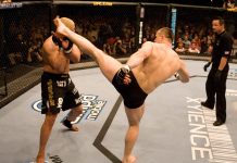 VIDEO. Urmărește 53 de secunde cu cele mai brutale faze din cariera lui Mirko Cro Cop VIDEO. Urmărește 53 de secunde cu cele mai brutale faze din cariera lui Mirko Cro Cop