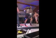 VIDEO. O accidentare brutală la o gală de MMA din Polonia! VIDEO. O accidentare brutală la o gală de MMA din Polonia!