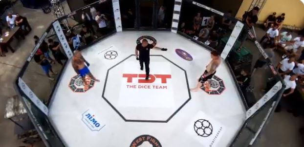 mmafight