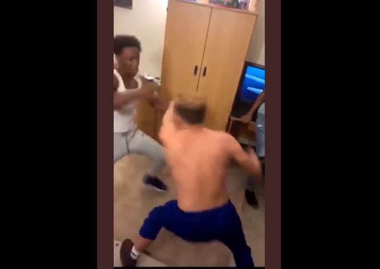 mmafight