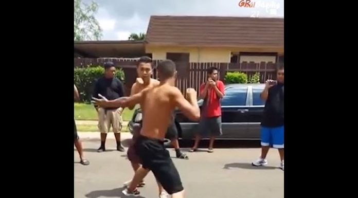 VIDEO. Cum decurge o bătaie amicală pe străzile din Hawaii? VIDEO. Cum decurge o bătaie amicală pe străzile din Hawaii?