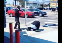 VIDEO. Vezi ce se întâmplă atunci când prinzi lovitura perfectă! VIDEO. Vezi ce se întâmplă atunci când prinzi lovitura perfectă!