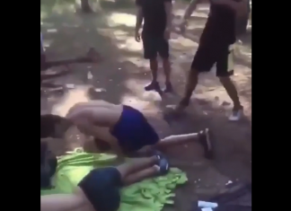 VIDEO. I-a făcut KO numai din palme! VIDEO. I-a făcut KO numai din palme!