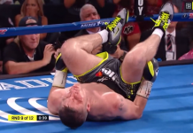 VIDEO. Vezi un KO brutal reușit de Canelo Alvarez VIDEO. Vezi un KO brutal reușit de Canelo Alvarez