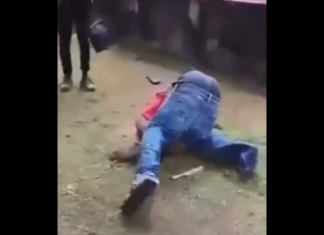 VIDEO. L-a bătut în ultimul hal, cu doar câteva lovituri! VIDEO. L-a bătut în ultimul hal, cu doar câteva lovituri!