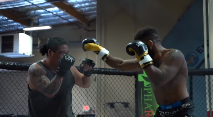 VIDEO. Ce se întâmplă când un streetfighter neînvins, cu 200 de lupte, intră în octogon cu un luptător profesionist de MMA? VIDEO. Ce se întâmplă când un streetfighter neînvins, cu 200 de lupte, intră în octogon cu un luptător profesionist de MMA?