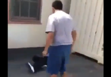 VIDEO. Bătaie cu knockdown-uri și un final fericit! VIDEO. Bătaie cu knockdown-uri și un final fericit!