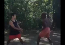 VIDEO. Un KO spectaculos executat ca la carte! VIDEO. Un KO spectaculos executat ca la carte!