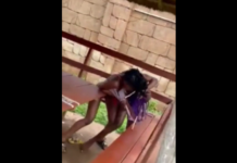 VIDEO. S-au bătut până au rămas în pielea goală! VIDEO. S-au bătut până au rămas în pielea goală!