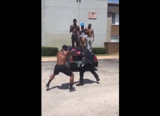 Partidă de BOX între un polițist și un luptător de stradă! Cine câștigă? Partidă de BOX între un polițist și un luptător de stradă! Cine câștigă?