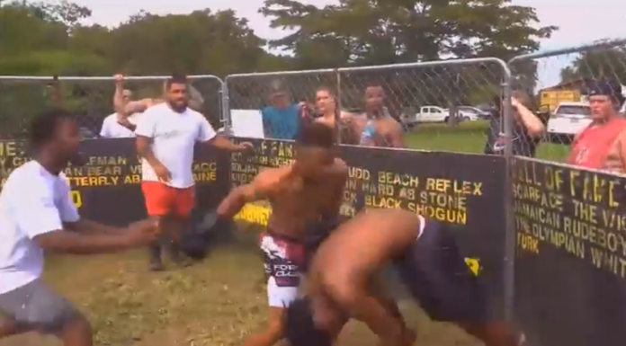 KO fără replică la o luptă de box improvizată! (VIDEO) KO fără replică la o luptă de box improvizată! (VIDEO)