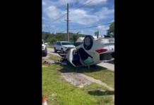 A încercat să fugă de la fața locului după un accident, dar a fost prins și submis! (VIDEO) A încercat să fugă de la fața locului după un accident, dar a fost prins și submis! (VIDEO)