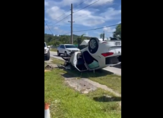 A încercat să fugă de la fața locului după un accident, dar a fost prins și submis! (VIDEO) A încercat să fugă de la fața locului după un accident, dar a fost prins și submis! (VIDEO)