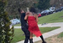 VIDEO. Câtă răbdare să aibă și paznica? VIDEO. Câtă răbdare să aibă și paznica?