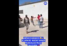 VIDEO. O formație a început să cânte coloana sonoră de la Rocky în timpul unei bătăi de stradă VIDEO. O formație a început să cânte coloana sonoră de la Rocky în timpul unei bătăi de stradă