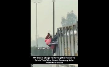 VIDEO. Mirele s-a urcat într-un camion în mișcare pentru că cineva i-a furat din banii de la nuntă! VIDEO. Mirele s-a urcat într-un camion în mișcare pentru că cineva i-a furat din banii de la nuntă!