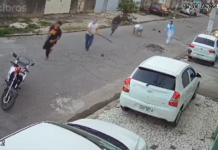 VIDEO. S-au dus la furat pe strada greșită! VIDEO. S-au dus la furat pe strada greșită!