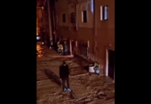 VIDEO. Bătaie macetă vs bâtă! Cine câștigă? VIDEO. Bătaie macetă vs bâtă! Cine câștigă?