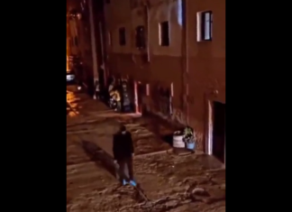 VIDEO. Bătaie macetă vs bâtă! Cine câștigă? VIDEO. Bătaie macetă vs bâtă! Cine câștigă?
