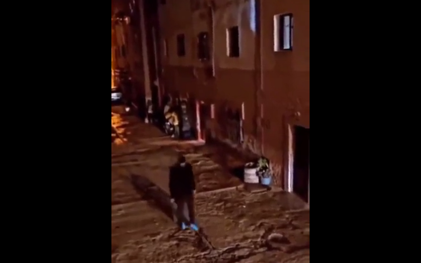 VIDEO. Bătaie macetă vs bâtă! Cine câștigă?