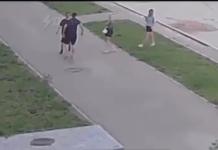 VIDEO. S-a luat de niște adolescenți dimineața devreme… VIDEO. S-a luat de niște adolescenți dimineața devreme...