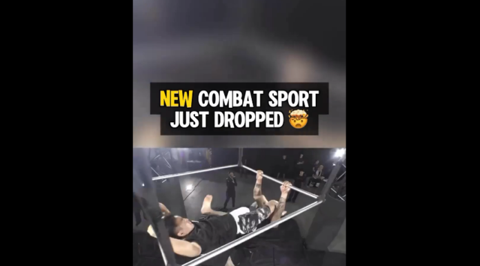 VIDEO. Cum vi se pare acest nou sport de contact? VIDEO. Cum vi se pare acest nou sport de contact?