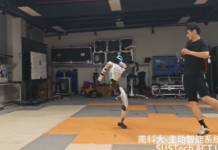 VIDEO. Cum se descurcă într-o luptă un robot de talie mică cu un bărbat de talie medie? VIDEO. Cum se descurcă într-o luptă un robot de talie mică cu un bărbat de talie medie?