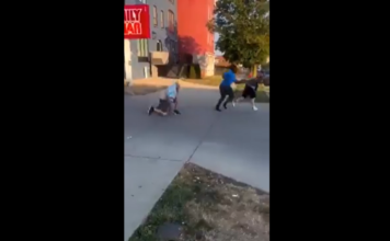 VIDEO. Un bărbat a luat la bătaie doi hoți! VIDEO. Un bărbat a luat la bătaie doi hoți!