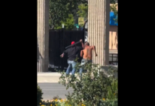 VIDEO. De ce nu e bine să te pui cu cineva care are o bâtă în mână? VIDEO. De ce nu e bine să te pui cu cineva care are o bâtă în mână?