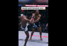 VIDEO. Vezi un KO superb realizat printr-un „Question Mark” kick! VIDEO. Vezi un KO superb realizat printr-un "Question Mark" kick!