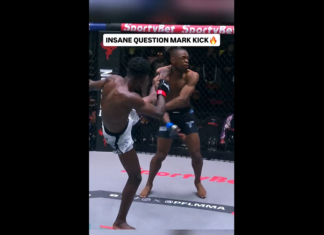 VIDEO. Vezi un KO superb realizat printr-un „Question Mark” kick! VIDEO. Vezi un KO superb realizat printr-un "Question Mark" kick!