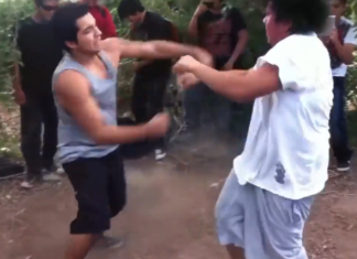 VIDEO. Ce înseamnă 1 lună de antrenamente de MMA într-o luptă cu cineva fără antrenament? VIDEO. Ce înseamnă 1 lună de antrenamente de MMA într-o luptă cu cineva fără antrenament?